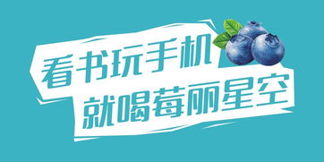 莓丽星空 蓝莓酵素果汁礼盒包装与品牌咨询策划