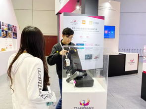 太火鸟科技展览2019WIDC闪亮开展，设计服务与咨询策划再获TIA设计大奖